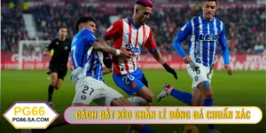 Cách Bắt Kèo Chẵn Lẻ Bóng Đá Chuẩn Xác 100% Cho Newbie
