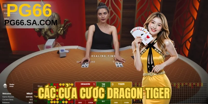 Các cửa cược Dragon Tiger